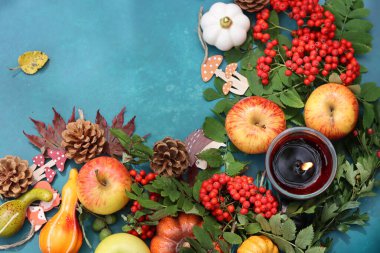 Fotokopi alanı ile canlı mavi arka planda balkabakları, elmalar ve rowan ile sonbahar kompozisyonu. Masadaki çevre dostu sonbahar süslemeleri. 