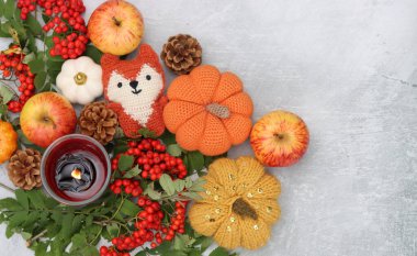 El yapımı tilki oyuncakları, balkabakları, elmalar, kızılcık böğürtlenleri ve arka planda hafif arkaplanda mesaj için yeri olan bir mum. Sonbahar dekorasyonları resmi kapat. 