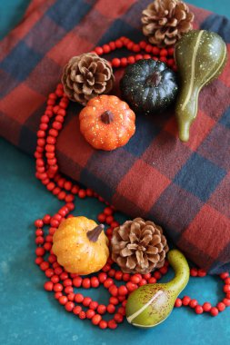 Balkabakları, kırmızı boncuklar ve kırmızı ekoseli güz kompozisyonu. Samimi sonbahar konsepti. 