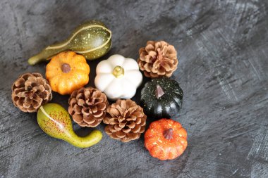 Dekoratif balkabakları ve köknar kozalakları masanın üstünde. Karanlık doku arkaplanındaki sonbahar süslerinin fotokopi alanı ile resmini kapat. 