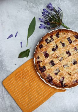 Masada taze pişmiş yaban mersinli örgü turtası. Güzel altın kaplama fotoğraf. Ev yapımı tatlı yuvarlak pasta. Metin için alanı olan açık gri arkaplan. 
