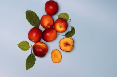 Mavi arka planda yapraklı olgun kırmızı nektarinler. Taze konsept yemek. 