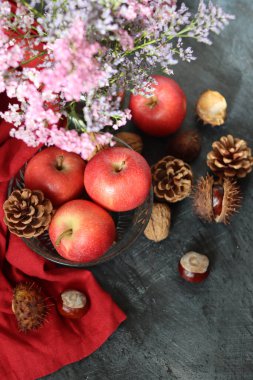 Sonbahar, elmalar, kestaneler ve kozalaklarla dolu karanlık arka planda metinler için alan ile sakin bir hayattır.. 