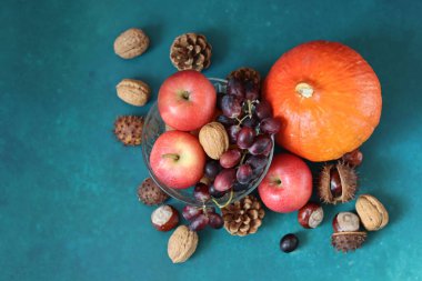 Balkabağıyla hayat devam ediyor. Taze mevsimlik meyve ve sebzeler masada. Şükran Günü yemeği malzemelerinin üst görüntüsü. Sağlıklı konsept yemek. 