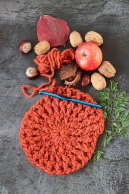 Sonbahar tığ işi. Mevsimlik meyve ve sebzeler, tığ işi kanca ve turuncu yün iplik manzaralı fotoğraf. Hobi ve boş zaman kavramı. 