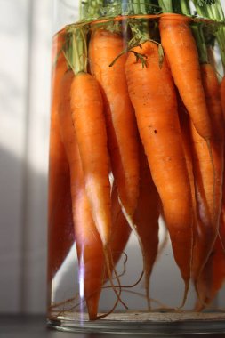 Cam kavanozdaki taze organik havuçlar. Çiftlik sebzelerinin fotoğrafını çek. Havuç dokusu. Sağlıklı gıda konsepti.