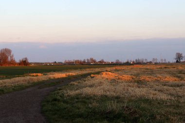 Baharın erken saatlerinde gün batımında buğday tarlası olan kırsal alan