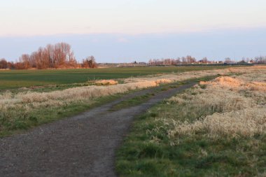 Baharın erken saatlerinde gün batımında buğday tarlası olan kırsal alan