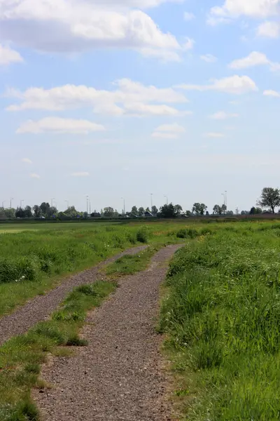 Kırsal kesimdeki bir çayırda kirli yol, fotoğrafa yakın çekim.