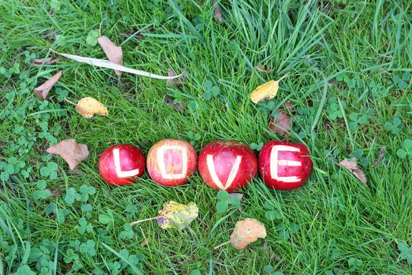 Bahçedeki yeşil çimlerde kırmızı elmalara yazılan aşk. Mevsimlik meyvelerle sonbahar durgun yaşamı. 