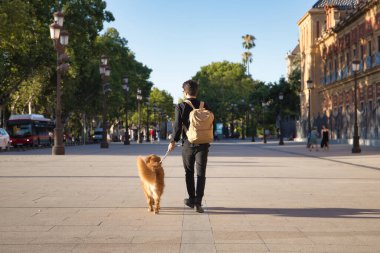 Young Hispanic man with a beard, sunglasses, black shirt and backpack, walking around the city with his dog seen from behind. Concept animals, dogs, love, pets, golden.