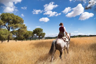 Woman horsewoman, young and beautiful, walking with her horse, in the countryside surrounded by dry grass. Concept horse riding, animals, dressage, horsewoman, cowgirl.