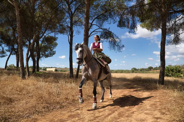 stock image Woman horsewoman, young and beautiful, running at a trot with her horse, on a path with pine trees in the countryside. Concept horse riding, animals, dressage, horsewoman, cowgirl.