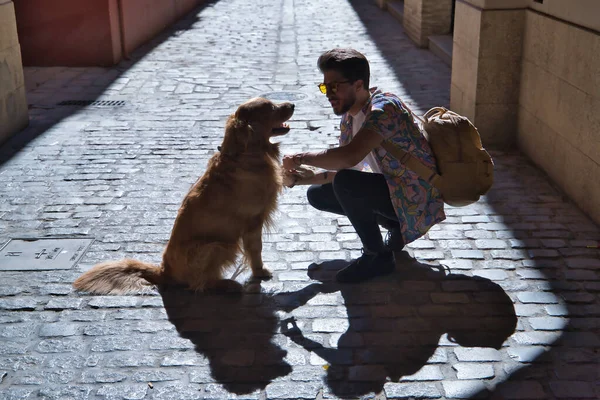 Güneş batarken güneş gören bir sokakta köpeğiyle çömelmiş sakallı ve güneş gözlüklü genç İspanyol adam gölgesini yere düşürüyor. Hayvanlar, köpekler, aşk, evcil hayvanlar, altın.