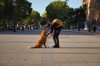 Young Hispanic man with a beard, sunglasses, black shirt and backpack, crouched down taking the leg of his dog in the city. Concept animals, dogs, love, pets, golden.