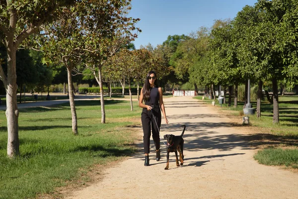 Молодая Женщина Брюнетка Стройная Одета Черное Солнечные Очки Выгуливает Собаку — стоковое фото