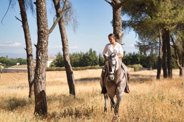 Güneşli bir günde, birkaç çam ağacının yanında, kırsalda atını süren güzel genç bir kadın yürüyor. Konsept binicilik, hayvanlar, binicilik, binicilik.