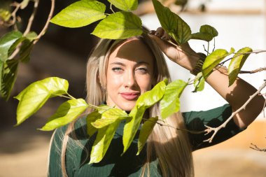 Genç, güzel, yeşil gözlü sarışın bir kadının portresi, bir bitkinin yeşil yapraklarının arasından bakıyor. Güzelliği kavra, gözleri, doğayı, görünüşü, yeşili.