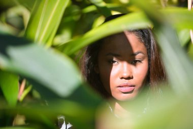Portrait of a young, beautiful, Latin and South American woman, within a leafy group of green leaves, receiving the sun's rays between the hollows of the leaves and making different expressions.