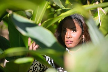 Portrait of a young, beautiful, Latin and South American woman, within a leafy group of green leaves, receiving the sun's rays between the hollows of the leaves and making different expressions.