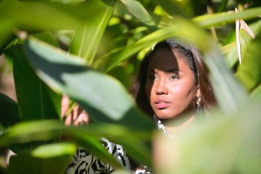 Portrait of a young, beautiful, Latin and South American woman, within a leafy group of green leaves, receiving the sun's rays between the hollows of the leaves and making different expressions.