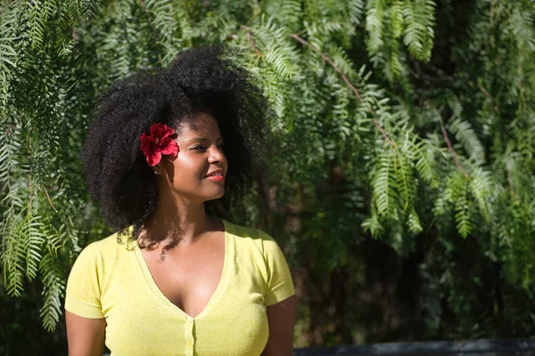 緑の植物の背景に耳の中に黄色のTシャツと赤の花と アフロの髪を持つ若い 美しく黒い女性の肖像画 コンセプトの美しさ 植物や花 — ストック写真