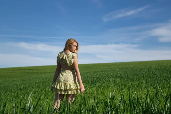 Sarı Elbiseli Genç Güzel Sarışın Bir Kadın Yeşil Buğday Tarlasında — Stok fotoğraf