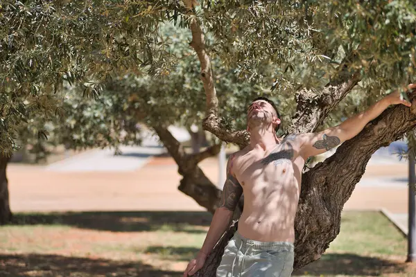 Young man, attractive and Hispanic, shirtless, with a muscular body, leaning on the trunk of an olive tree in connection with nature. Concept, peace, relaxation, beauty, nature, masculinity.