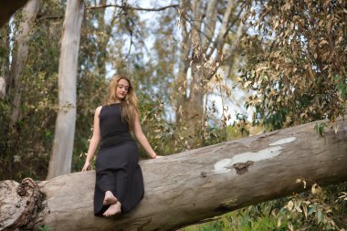 Genç bir kadın, sarışın ve güzel, siyah elbiseli, büyük bir ağacın gövdesinde oturuyor, doğanın ortasında, saf ve bakir. Doğa, huzur, saflık, bekaret, ağaçlar.