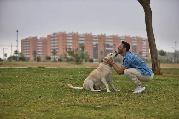 Young Hispanic man, crouching on the grass next to his dog while licking his face in a loving and tender attitude. Concept, dogs, pets, animals, friends.