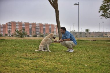 Genç İspanyol adam, çimenlerde çömelmiş köpeğinin patisini tutuyor, birbirine bakıyor. Kavram, köpekler, hayvanlar, hayvanlar, arkadaşlar.