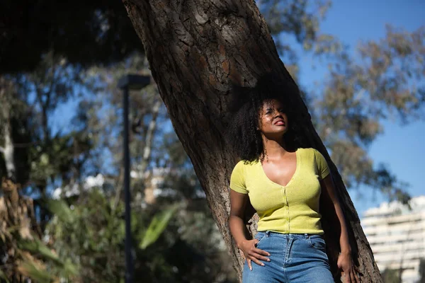 Young woman, beautiful and black with afro hair, with yellow shirt and jeans, leaning on the trunk of a tree in a sensual and provocative attitude. Concept sensuality, provocation, flirting.
