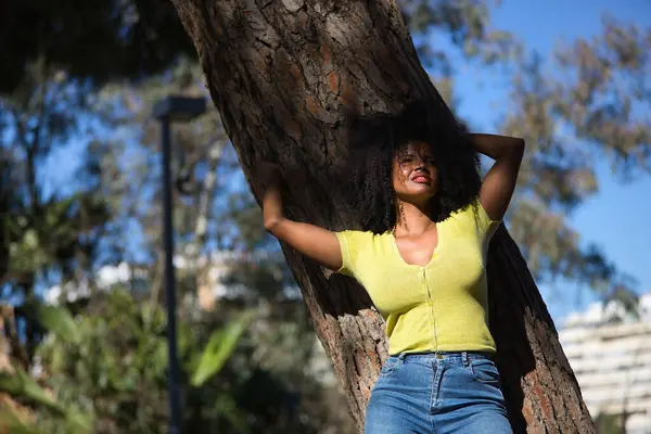 Young woman, beautiful and black with afro hair, with yellow shirt and jeans, leaning on the trunk of a tree in a sensual and provocative attitude. Concept sensuality, provocation, flirting.
