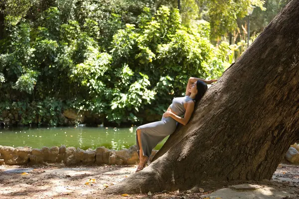 South American woman, young, pretty, brunette with gray top and skirt leaning against the trunk of a large tree, receiving the sun\'s rays, relaxed and calm. Concept beauty, diversity, peace, nature.