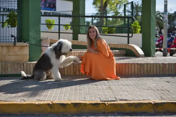 Young and beautiful woman in an orange dress, playing and posing with her bobtail dog, very smiling and happy. Concept beauty, fashion, trend, animals, pets, breed.