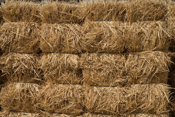 Группы соломенных тюков, применяемых для транспортировки. Концепция сельского хозяйства, животноводства, пищевых продуктов, животных, тюков.