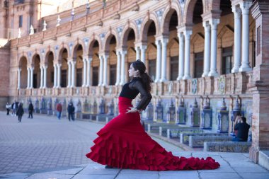 Genç, güzel, esmer, siyah gömlekli, kırmızı etekli, Seville 'deki güzel İspanya meydanında flamenko dansı yapan bir kadın. Flamenko konsepti, dans, sanat, tipik İspanyolca.