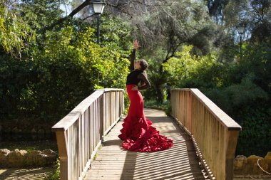 Genç, güzel, esmer, siyah tişörtlü, kırmızı etekli, parkın içinde tahta bir köprünün ortasında flamenko dansı yapan bir kadın. Flamenko konsepti, dans, sanat, tipik İspanyolca.