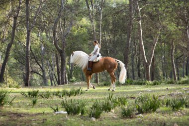 Atlı kadın gibi giyinmiş genç bir kadın, ormanın ortasında beyaz yeleli güzel kahverengi atıyla koşuyor. Konsept hayvanlar, at binme, binicilik, at binme.