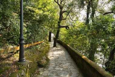 Büyük taşlarla oluşmuş ve yoğun yeşil bitki örtüsüyle çevrili patika, doğa yürüyüşü ve yürüyüş için idealdir. Doğayı, yürüyüşü, yolları kavra..