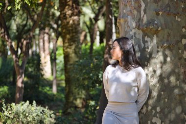 Yüzünde yaprakların gölgesi olan bir ağacın gövdesine yaslanmış beyaz elbiseli, genç, güzel, siyah saçlı bir kadın. Güzellik, moda, kadınlık, doğa, bitkiler, ağaçlar.