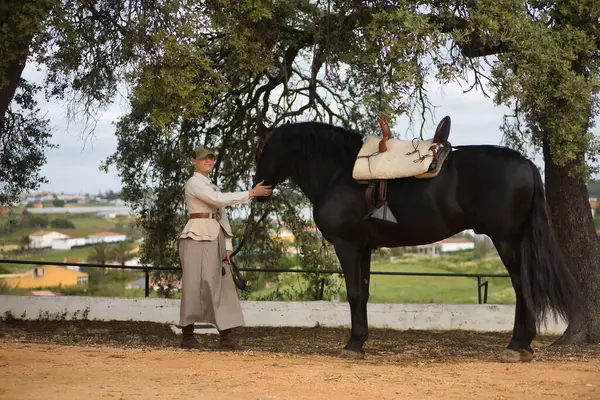 Siyah İspanyol safkan atını okşayan genç bir kadın binici sevgisini ve şefkatini gösteriyor. Konsept at biniciliği, at biniciliği, binicilik, binicilik.