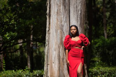Genç, güzel, kırmızı elbiseli Afrikalı bir kadın doğayla bağlantılı olarak büyük bir ağacın gövdesine yaslanmış poz veriyor. Konsept moda, güzellik, moda.