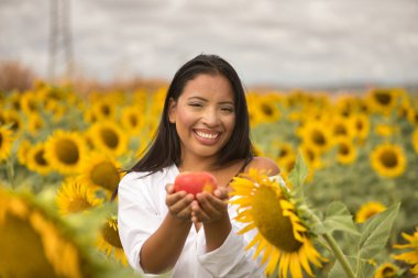 Genç, çekici, Latin esmer kadın beyaz gömlek giyiyor, mutlu bir şekilde gülümsüyor ve ayçiçeği tarlasının ortasında bir elma tutuyor. Kavram: doğa, tarım, kırsal.