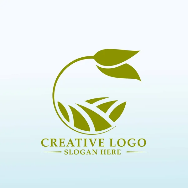 Proceso Diseño Del Logotipo Del Producto Fresco Congelado — Vector de stock