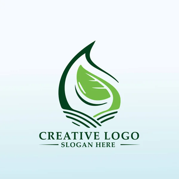 Logotipo Para Uma Empresa Cânhamo Industrial —  Vetores de Stock