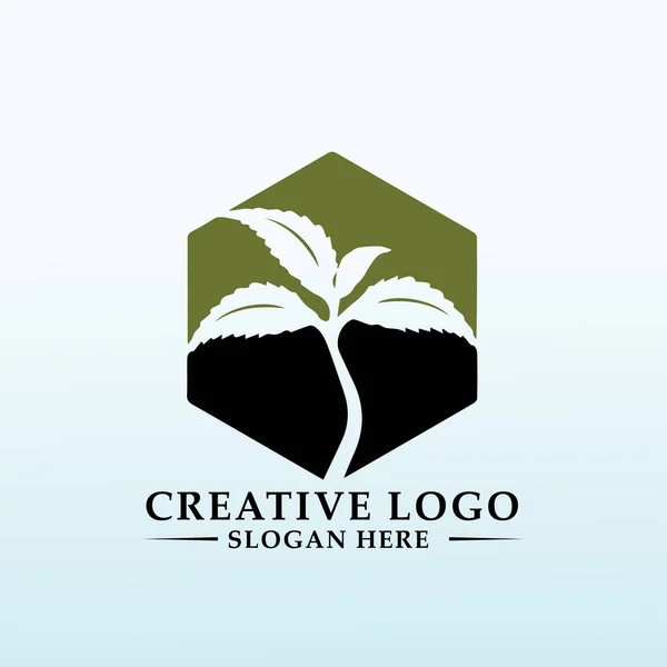 Cultivador Atualmente Com Foco Logotipo Cânhamo — Vetor de Stock