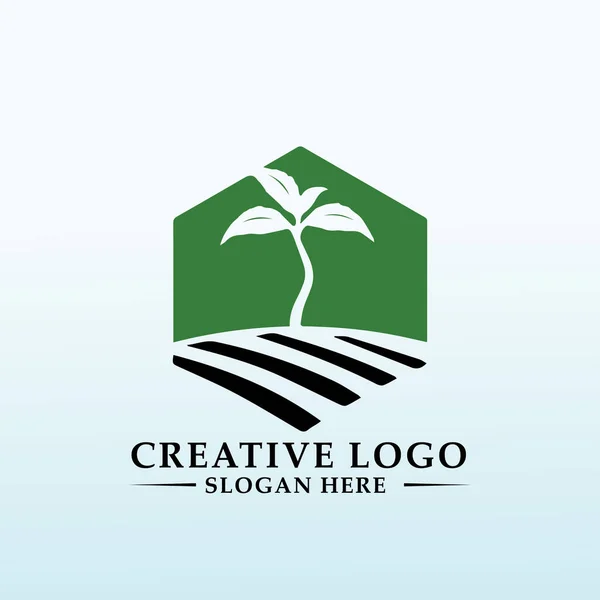 Cultivador Actualmente Centra Logotipo Del Cáñamo — Archivo Imágenes Vectoriales