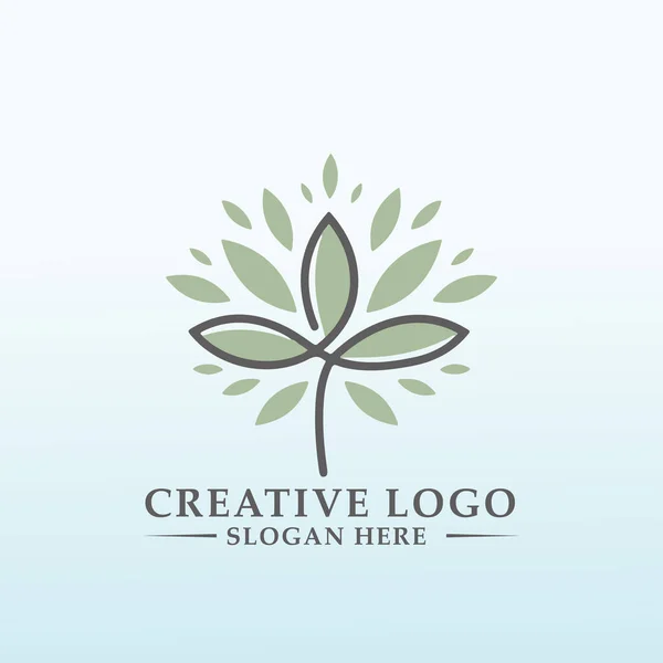 Cbd Cennet Ağacı Logo Tasarımı — Stok Vektör