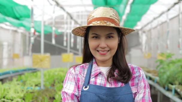 아시아 여성들은 농업을 합니다 온실에서 채소를 비즈니스 유기농 건강을 관찰하고 — 비디오